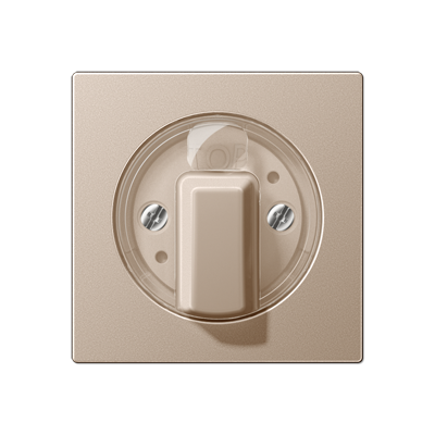 JUNG А 500 Шампань накладка поворотного механизма (лакированный дюропласт) A1541CH