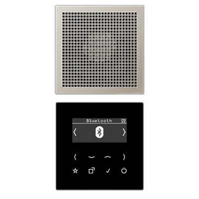 JUNG Цифровое радио DAB + с поддержкой Bluetooth, нержавеющая сталь DABES1BT