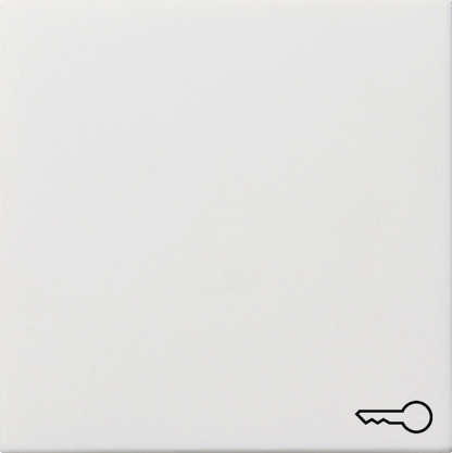 Gira Клавиша с пиктограммой "ключ" 0287112