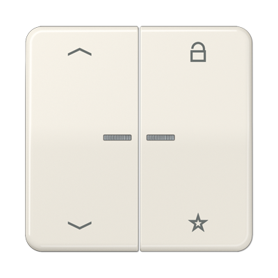 JUNG Центральная плата для вставок управления двигателями, слоновая кость CD1701P