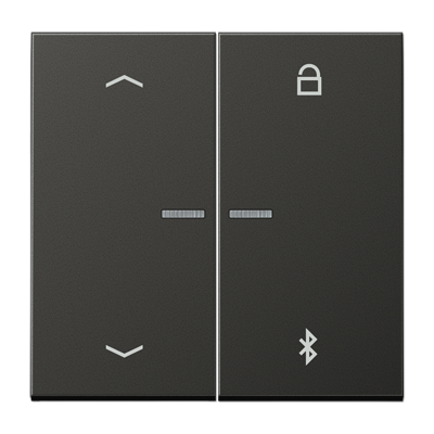 JUNG Таймер универсальный Bluetooth «стрелки», антрацит AL1751PBTAN