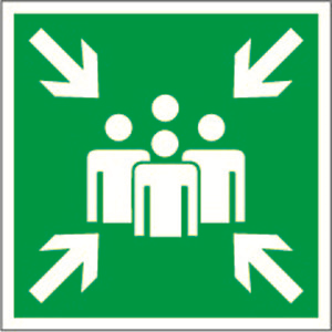 Белый свет Знак безопасности BL-1515.E21"Пункт (место) сбора" a13224