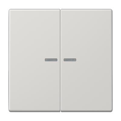 JUNG Клавиша для KNX кнопки, 2 группы, с окошком дюропласт светло-серый LS102KO5LG
