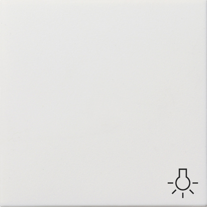 Gira Клавиша с пиктограммой "свет" 0285112