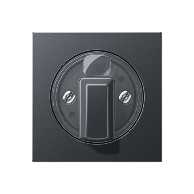 JUNG Матовый Антрацит накладка поворотного механизма (лакированный дюропласт) A1541BFANM