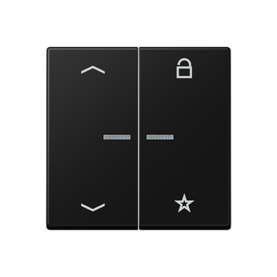 JUNG A Flow/A 550 Черный матовый Центральная плата универсальная с символами «стрелки» A1701BFPSWM