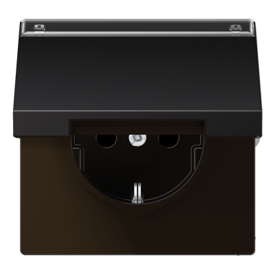 JUNG SCHUKO розетка с крышкой и полем для надписи, Dark AL1520NAKLD