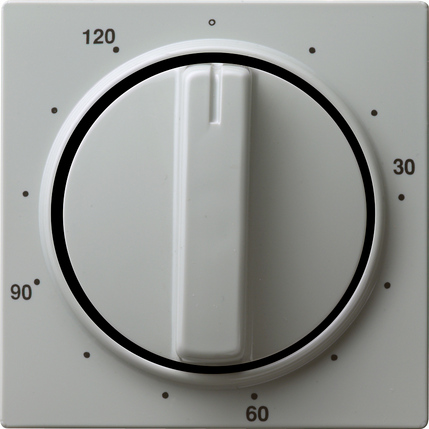 Купить Gira Накладка таймера 120 мин 064242