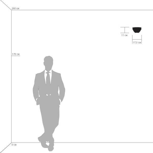 Купить Lightstar Бра Agola Lightstar 810813