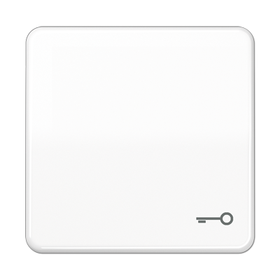 JUNG CD Белая Клавиша 1-ая с символом КЛЮЧ ударопрочная ударопрочная CD590BFTWW