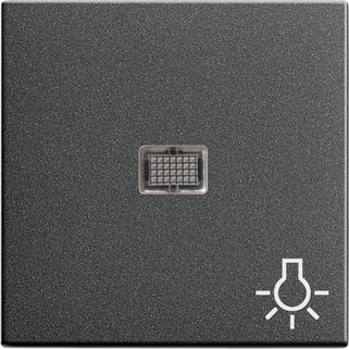 Gira Клав с больш окном пикт-мой Свет 063028