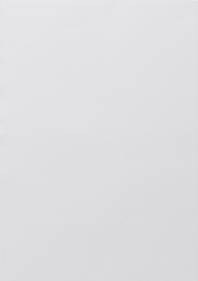 Gira Листы с полями для надписей 108500