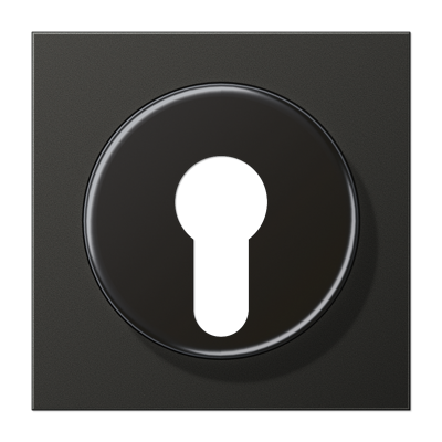 JUNG Крышка для выключателя с замком антрацит AL2928AN