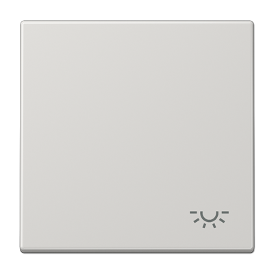 JUNG Клавиша с символом "свет", светло-серый LS990LLG
