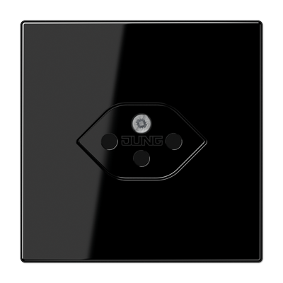 JUNG Швейцарская розетка LS1520-13SEVSW