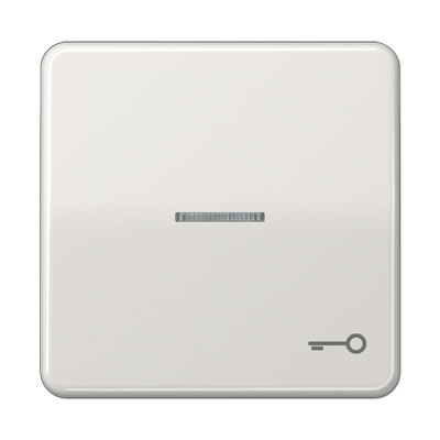 JUNG CD 500/CD plus Светло-серая Клавиша 1-ая с/п с символом КЛЮЧ CD590KO5TLG