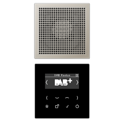JUNG Цифровое радио DAB + , нержавеющая сталь DABES1