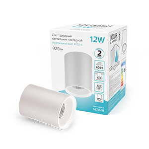 Gauss Светильник Overhead накл цил 12W 920lm 4100K 170-240V IP20 79*100мм белый LED HD011