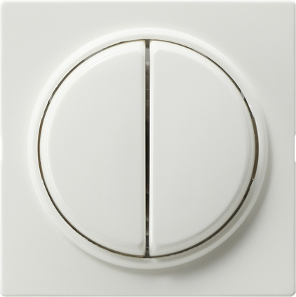 Gira Кнопочный 2-клавю переключатель 2- местн 012840