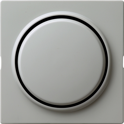 Gira Клавиша одинарная 029642