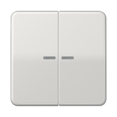 JUNG CD Светло-серая Клавиша 2-ая с/п ударопрочная CD595KO5BFLG