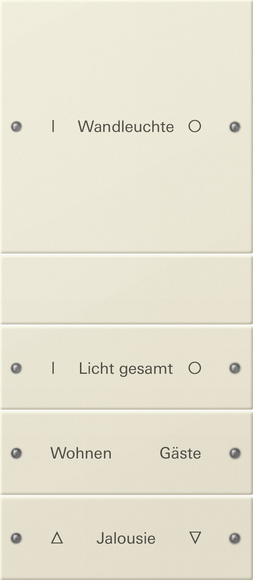 Gira Набор клавиш 4-местный (1+3),  ГРАВИРОВКА 220401