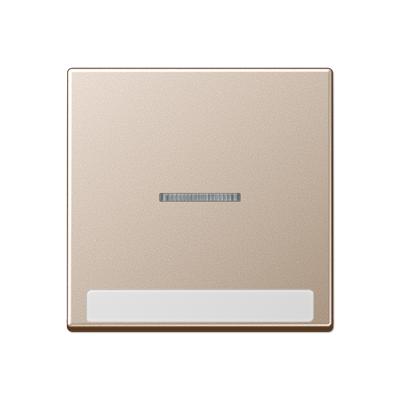 JUNG Клавиша с полем для надписи, шампань A590BFNAKO5CH