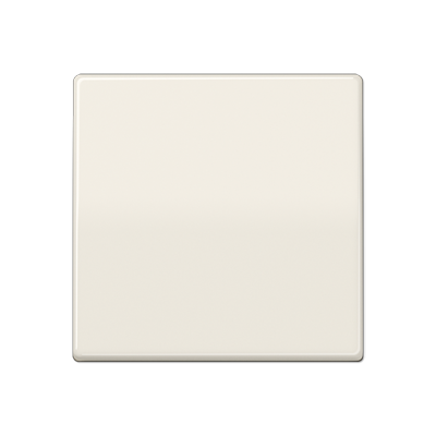 JUNG Центральная плата стандарт, слоновая кость AS1700