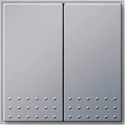 Gira Кнопочный 2-клавю переключатель 2- местн 012865