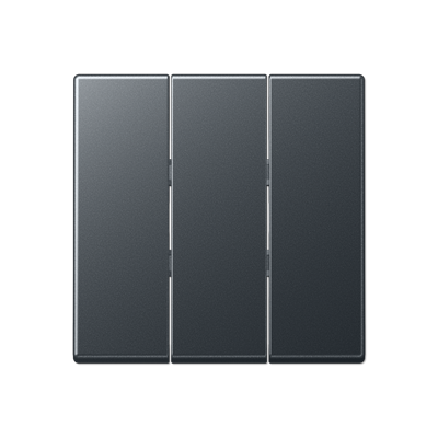 JUNG Клавиша для трёхклавишного выключателя A593BFANM