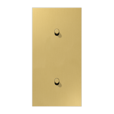 JUNG LS1912 Латунь классик Центральная плата, 2 поста, для вертикальной установки, тумблеры 1+1,цилиндр; метал. исполнение ME12-20CR25