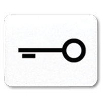 JUNG CD 500/CD plus Белая Линза с символом КЛЮЧ для клавиши с окошком 33TWW