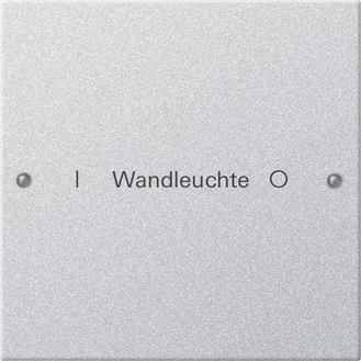 Gira Набор клавиш 1-местный,  ГРАВИРОВКА 220126