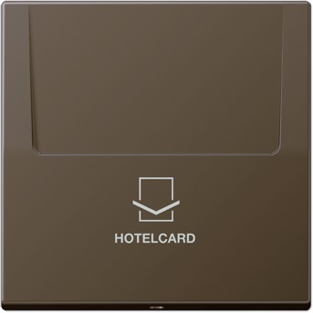 JUNG Накладка-картодержатель для балансирных механизмов 531U, 532U, 533U, 534U термопласт латунь antik Messing ME2990CARDAT