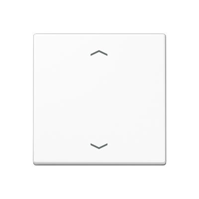 JUNG Центральная плата для вставок управления двигателями, белый A1700BFPWW