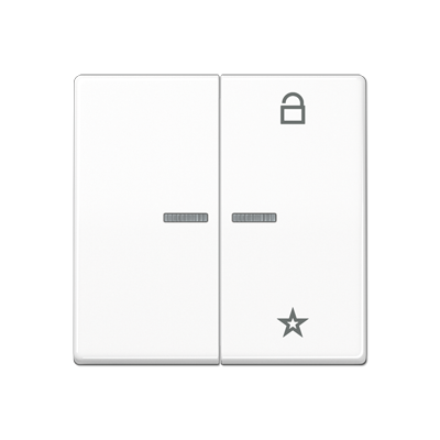 JUNG Центральная плата универсальная, белая AS1701WW