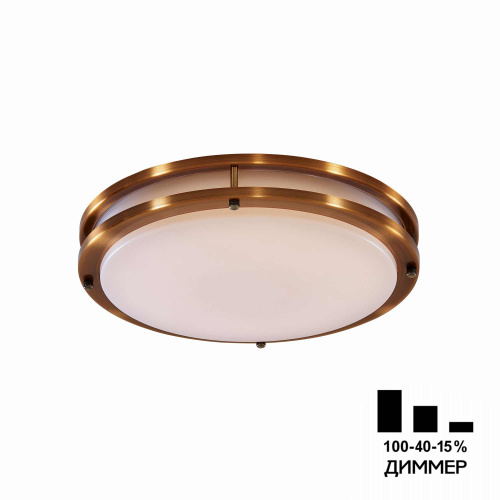 Citilux CL709323N Бостон Бронза Светильник накладной LED 32W*4000K