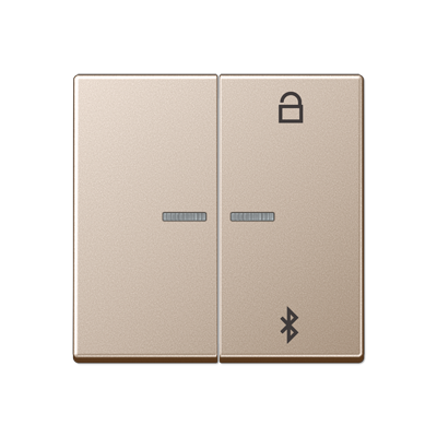 JUNG Таймер универсальный Bluetooth, шампань A1751BTCH