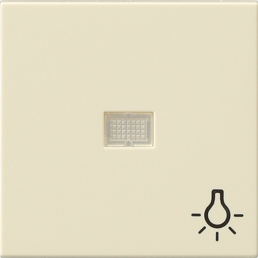 Gira Клав с больш окном пикт-мой Свет 063001