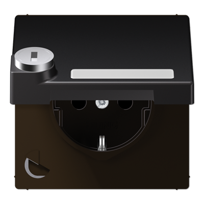 JUNG SCHUKO розетка с крышкой и полем для надписи, Dark AL1520NAKLSLD