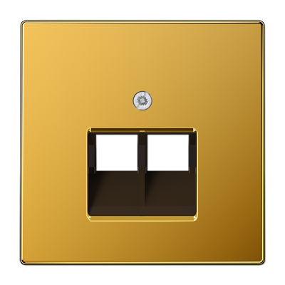 JUNG LS 990 Золото Накладка 2-ой наклонной ТЛФ/комп розетки LS969-2UAGGO
