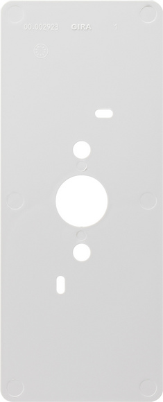 Gira Белая Монтажная пластина кв-ой станции накладн. м-жа 125600