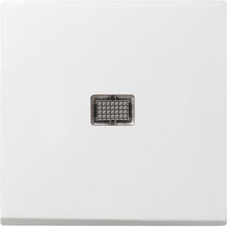 Gira S-55 Бел Клавиша с большим контрольным отверстием 029803