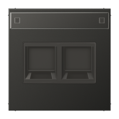 JUNG Плата (фиксация защёлкиванием) с полем для надписи для двух модулей металл антрацит AL1969-2NAWEAN