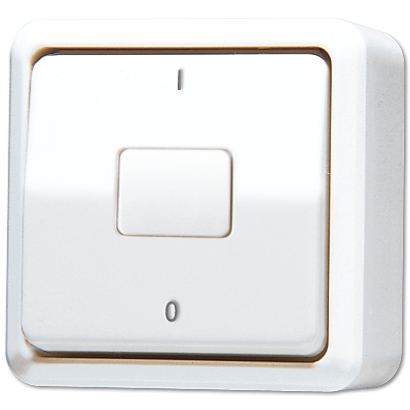 JUNG Выключатель для накладного монтажа, двухполюсный белый 602AWW