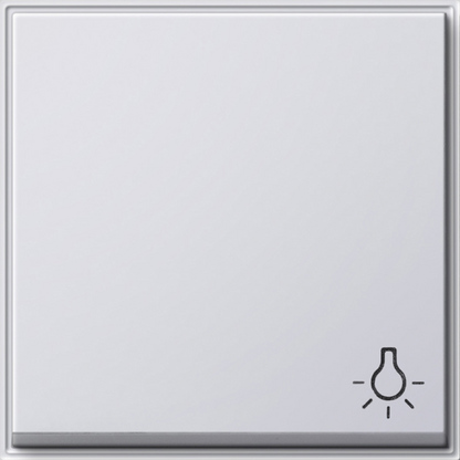 Gira Клавиша с пиктограммой "свет" 028566