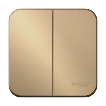 Купить Systeme Electric Blanca наруж Титан Выключатель 2-клавишный , 10А, 250B