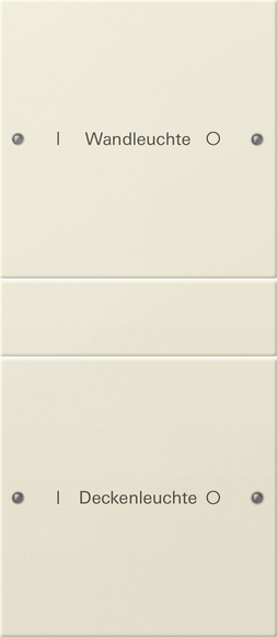 Gira Набор клавиш 2-местный (1+1),  ГРАВИРОВКА 220201