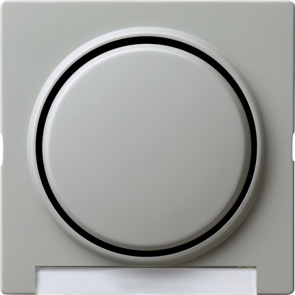 Gira Клавиша с полем для надписи 029942