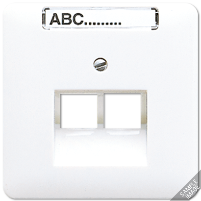 JUNG CD 500/CD plus Бежевая Накладка 2-ой наклонной ТЛФ/комп розетки с полем для надписи 569-2NAUA